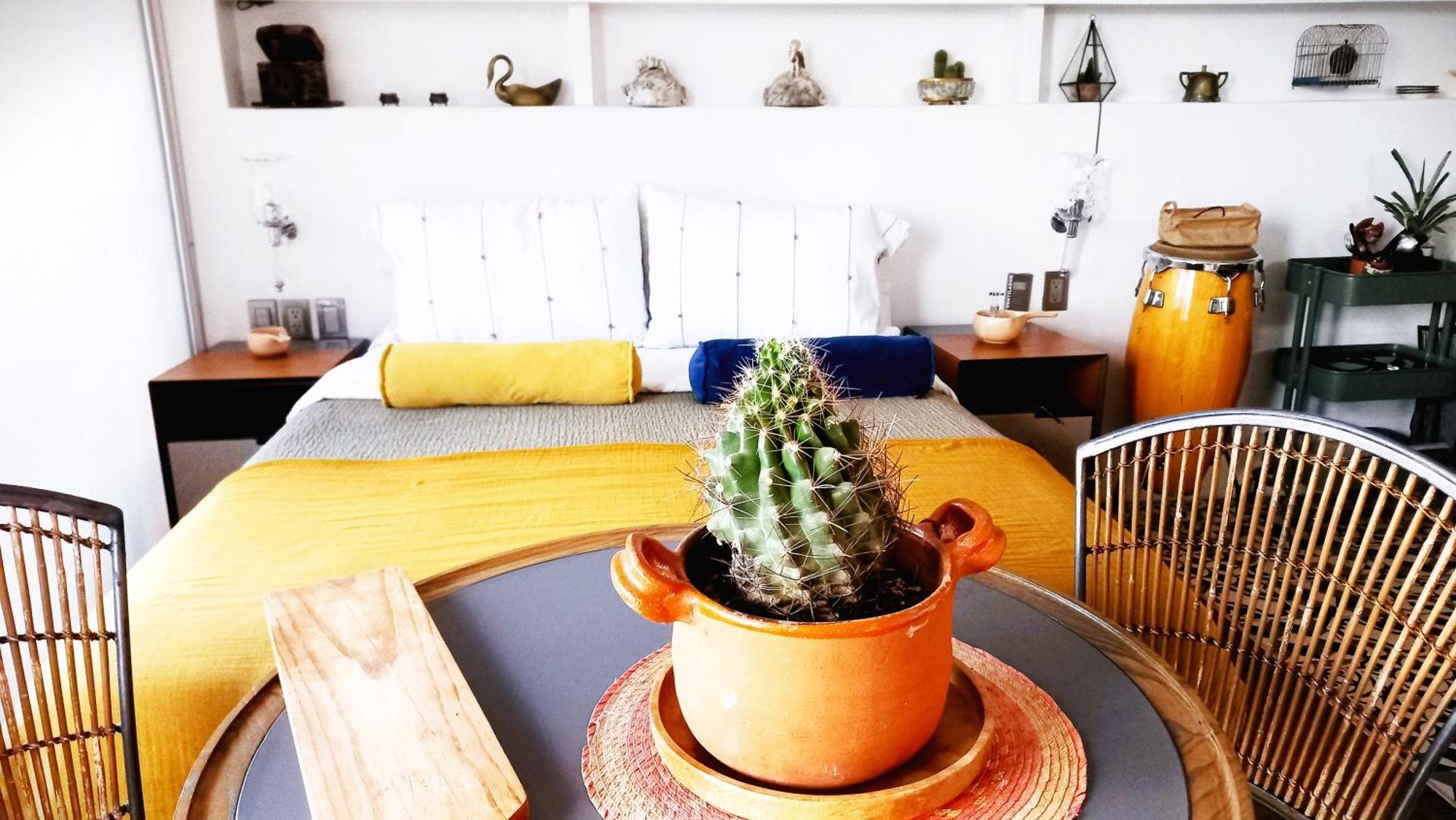Loft Remedios - Penthouse Cdmx - Areas Comunes Compartidas * Mexico City